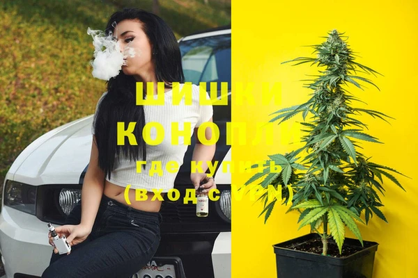 гидропоника Белоозёрский