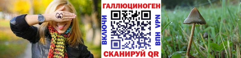 Галлюциногенные грибы Cubensis  продажа наркотиков  Горняк 